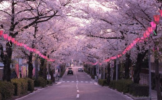 さくらホール 小さなクラッシックホール さくらホールのサイト 名古屋市 さくら ホールは愛知県名古屋市守山区の桜並木沿いにあるミニコンサートホールです アットホームな雰囲気の中で演奏をお楽しみ頂けます